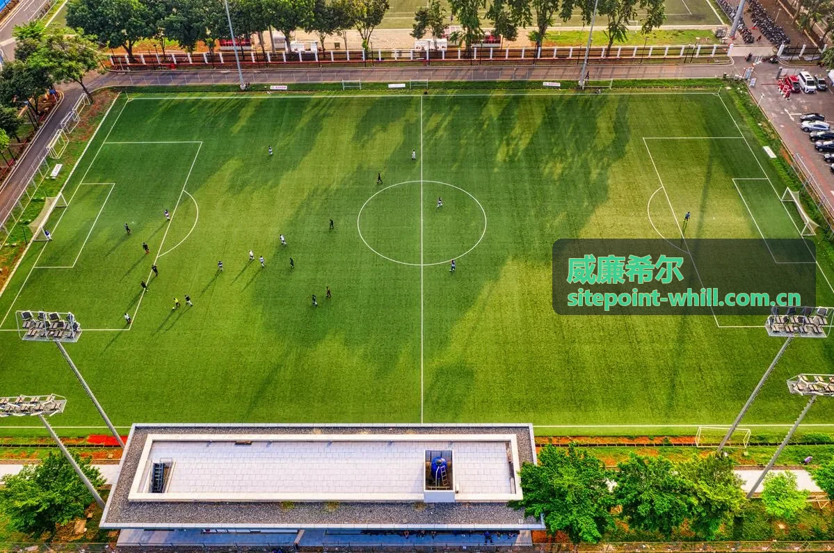 威廉希尔品牌数字档案案例
